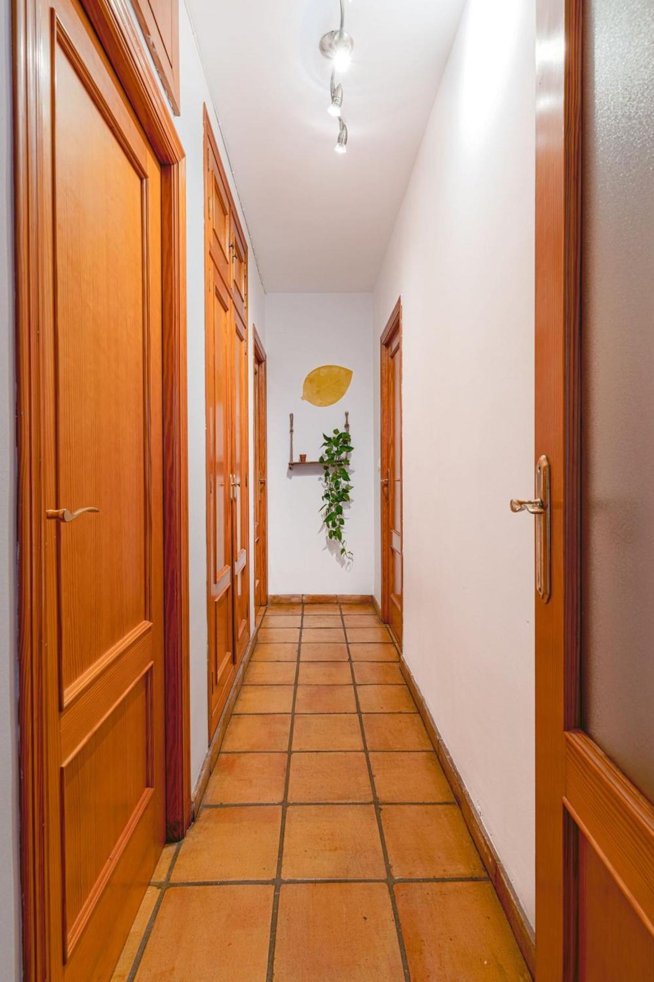 Apartmán Musico Turia Gardens Valencie Exteriér fotografie